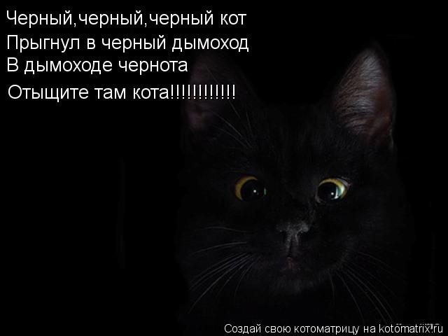 Черный,черный,черный кот Прыгнул в черный дымоход В дымоходе чернота Отыщите там кота!!!!!!!!!!!!... Котоматрица: Черный,черный,черный кот Прыгнул в черный дымоход В дымоходе чернота Отыщите там кота!!!!!!!!!!!!
