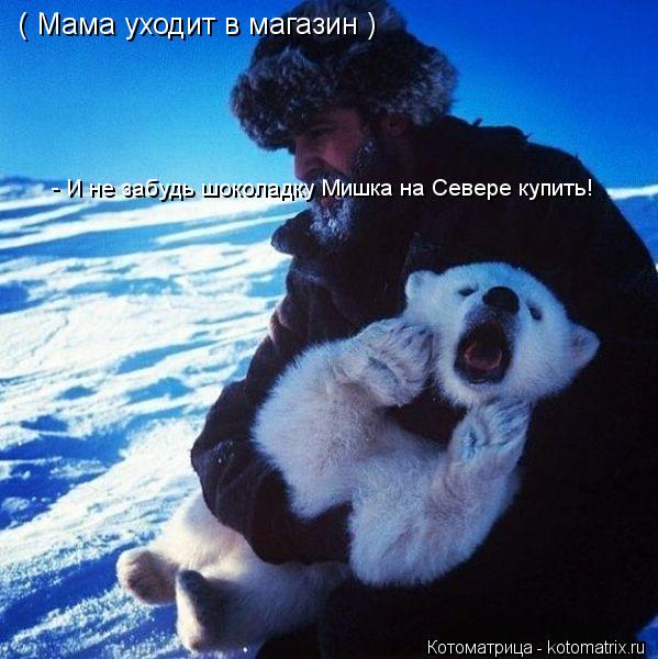 ( Мама уходит в магазин ) - И не забудь шоколадку Мишка на Севере купить!... Котоматрица: ( Мама уходит в магазин ) - И не забудь шоколадку Мишка на Севере купить!