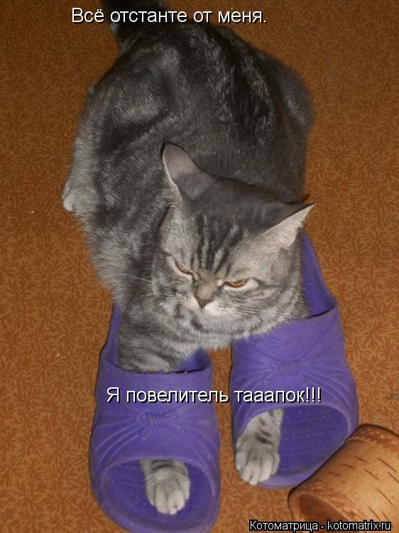 Котоматрица: Всё отстанте от меня. Я повелитель тааапок!!!