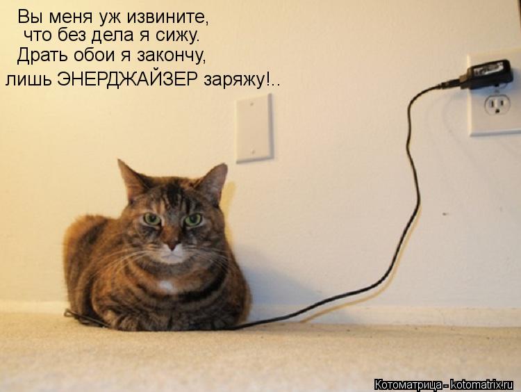 Вы меня уж извините, что без дела я сижу. Драть обои я закончу, лишь ЭНЕРДЖАЙЗЕР заряжу!..... Котоматрица: Вы меня уж извините, что без дела я сижу. Драть обои я закончу, лишь ЭНЕРДЖАЙЗЕР заряжу!..
