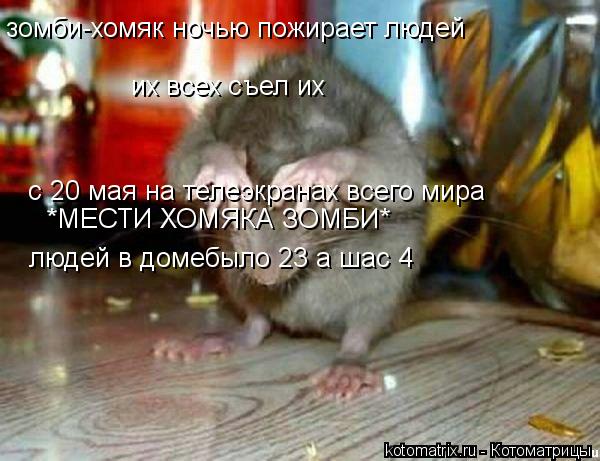 Котоматрица: зомби-хомяк ночью пожирает людей людей в домебыло 23 а шас 4 их всех съел их *МЕСТИ ХОМЯКА ЗОМБИ* с 20 мая на телеэкранах всего мира