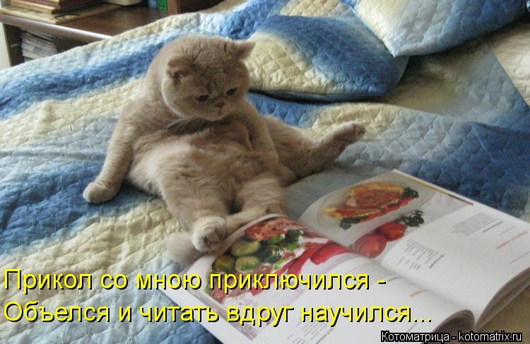 Прикол со мною приключился - Объелся и читать вдруг научился...... Котоматрица: Прикол со мною приключился - Объелся и читать вдруг научился...