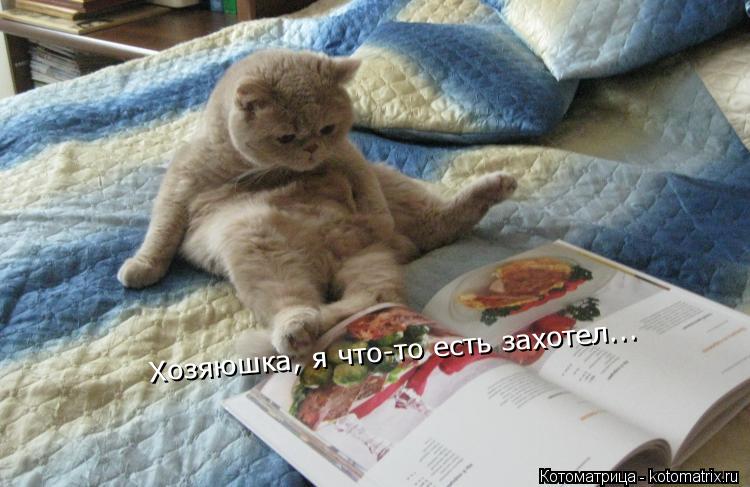 Хозяюшка, я что-то есть захотел...... Котоматрица: Хозяюшка, я что-то есть захотел...