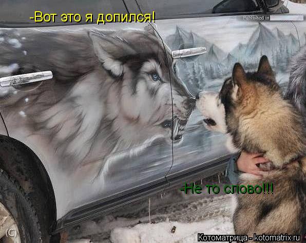 -Вот это я допился! -Не то слово!!!... Котоматрица: -Вот это я допился! -Не то слово!!!