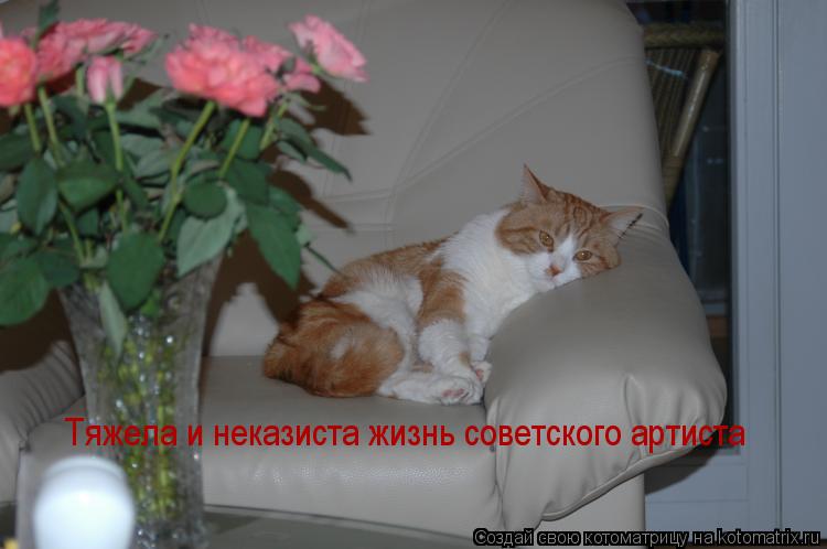 Тяжела и неказиста жизнь советского артиста... Котоматрица: Тяжела и неказиста жизнь советского артиста