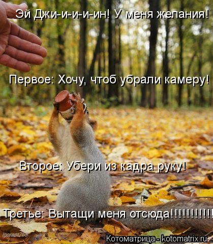 Эй Джи-и-и-и-ин! У меня желания! Третье: Вытащи меня отсюда!!!!!!!!!!!! Второе: Убери из кадра руку! ... Котоматрица: Эй Джи-и-и-и-ин! У меня желания! Третье: Вытащи меня отсюда!!!!!!!!!!!! Второе: Убери из кадра руку! Первое: Хочу, чтоб убрали камеру!