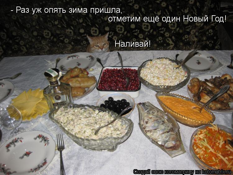 - Раз уж опять зима пришла, отметим ещё один Новый Год! Наливай!... Котоматрица: - Раз уж опять зима пришла, отметим ещё один Новый Год! Наливай!