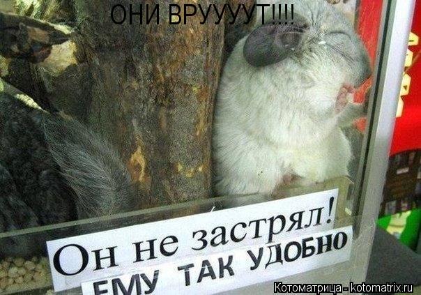 ОНИ ВРУУУУТ!!!!... Котоматрица: ОНИ ВРУУУУТ!!!!