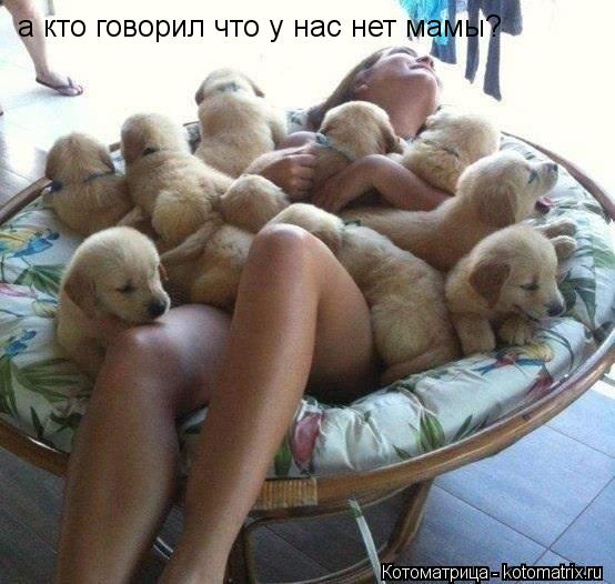 а кто говорил что у нас нет мамы?... Котоматрица: а кто говорил что у нас нет мамы?
