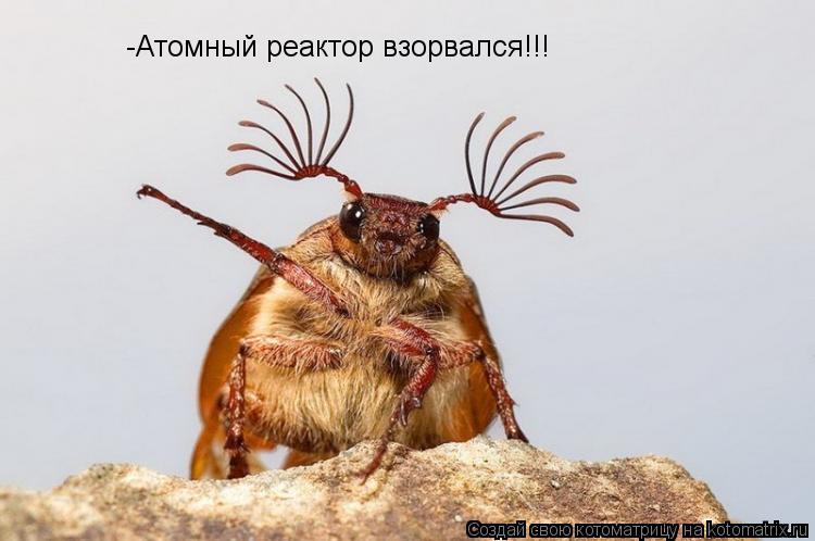-Атомный реактор взорвался!!!... Котоматрица: -Атомный реактор взорвался!!!