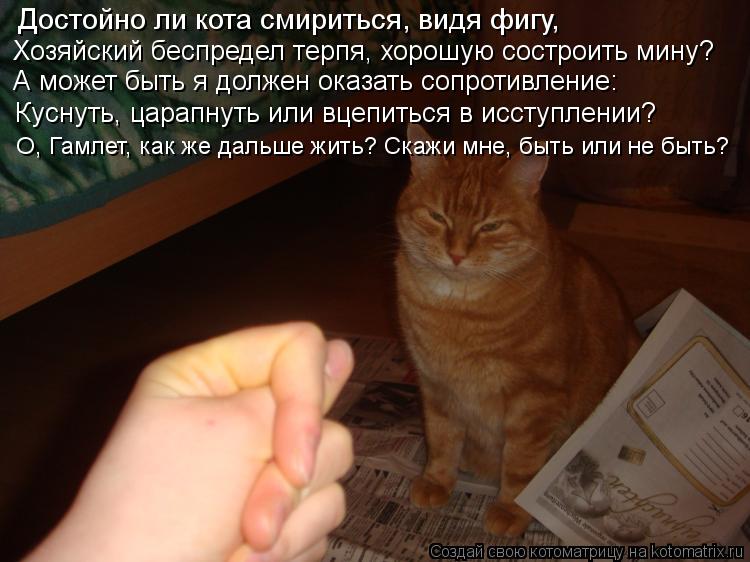 Достойно ли кота смириться, видя фигу, Хозяйский беспредел терпя, хорошую состроить мину? А может быт... Котоматрица: Достойно ли кота смириться, видя фигу, Хозяйский беспредел терпя, хорошую состроить мину? А может быть я должен оказать сопротивление: Кусн