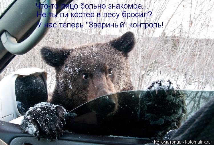 Что-то лицо больно знакомое... Не ты ли костер в лесу бросил? У нас теперь "Звериный" контроль!... Котоматрица: Что-то лицо больно знакомое... Не ты ли костер в лесу бросил? У нас теперь "Звериный" контроль!
