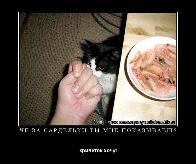 ЧЁ ЗА САРДЕЛЬКИ ТЫ МНЕ ПОКАЗЫВАЕШ? криветок хочу!... Котоматрица: ЧЁ ЗА САРДЕЛЬКИ ТЫ МНЕ ПОКАЗЫВАЕШ? криветок хочу!