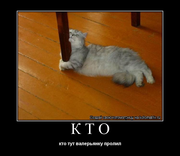 КТО кто тут валерьянку пролил... Котоматрица: КТО кто тут валерьянку пролил