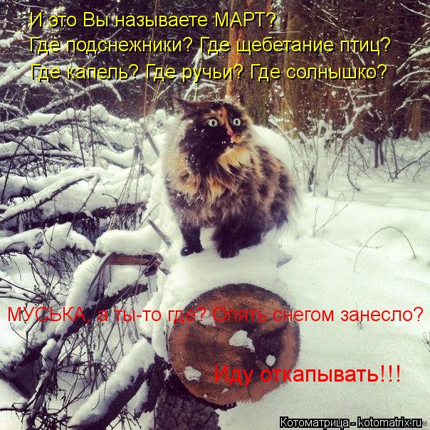 И это Вы называете МАРТ? Где подснежники? Где щебетание птиц? Где капель? Где ручьи? Где солнышко? МУ... Котоматрица: И это Вы называете МАРТ? Где подснежники? Где щебетание птиц? Где капель? Где ручьи? Где солнышко? МУСЬКА, а ты-то где? Опять снегом занесло? Ид
