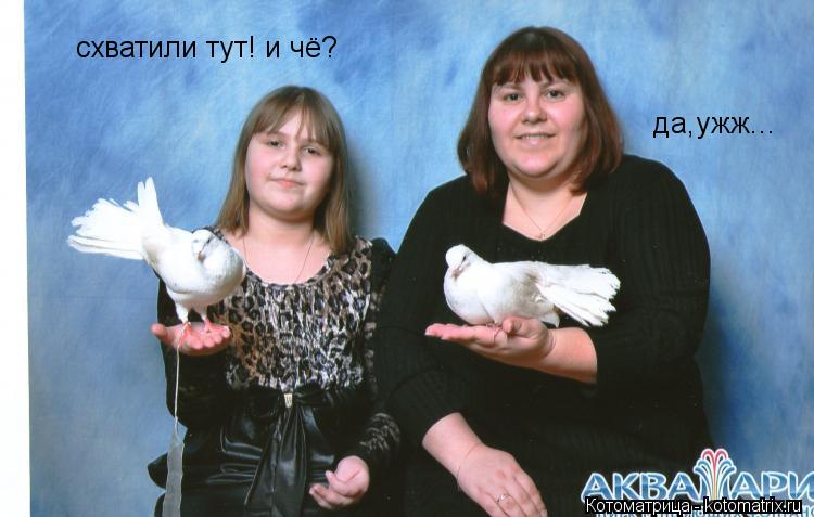 схватили тут! и чё? да,ужж...... Котоматрица: схватили тут! и чё? да,ужж...