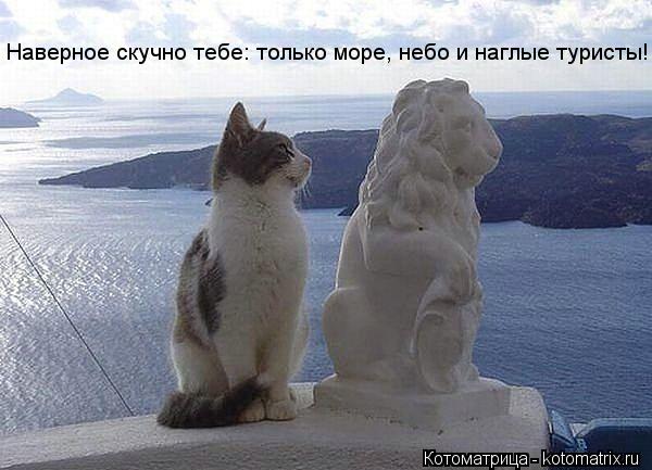 Наверное скучно тебе: только море, небо и наглые туристы!... Котоматрица: Наверное скучно тебе: только море, небо и наглые туристы!