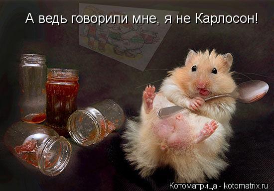 А ведь говорили мне, я не Карлосон!... Котоматрица: А ведь говорили мне, я не Карлосон!