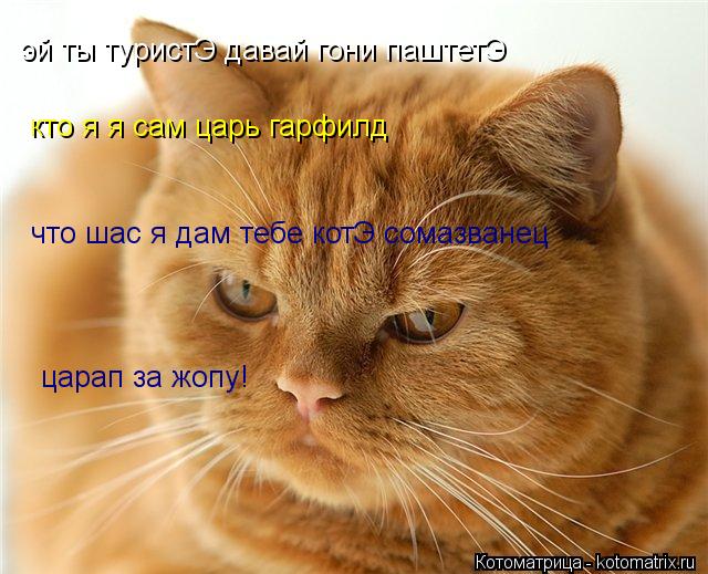 эй ты туристЭ давай гони паштетЭ кто я я сам царь гарфилд что шас я дам тебе котЭ сомазванец царап за... Котоматрица: эй ты туристЭ давай гони паштетЭ кто я я сам царь гарфилд что шас я дам тебе котЭ сомазванец царап за жопу!