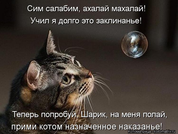 Сим салабим, ахалай махалай! Учил я долго это заклинанье! Теперь попробуй, Шарик, на меня полай, прим... Котоматрица: Сим салабим, ахалай махалай! Учил я долго это заклинанье! Теперь попробуй, Шарик, на меня полай, прими котом назначенное наказанье!