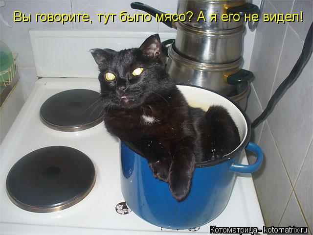 Котоматрица: Вы говорите, тут было мясо? А я его не видел!