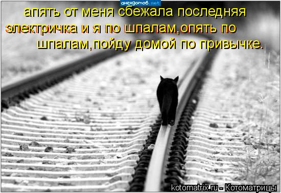 электричка и я по шпалам,опять по шпалам,пойду домой по привычке. шпалам,пойду домой по привычке. апя... Котоматрица: электричка и я по шпалам,опять по шпалам,пойду домой по привычке. шпалам,пойду домой по привычке. апять от меня сбежала последняя электричк