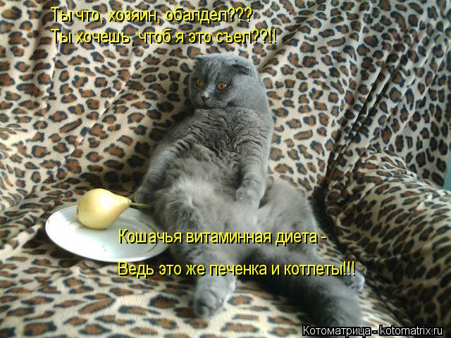 Ты хочешь, чтоб я это съел??!! Кошачья витаминная диета - Ведь это же печенка и котлеты!!! Ты что, хо... Котоматрица: Ты хочешь, чтоб я это съел??!! Кошачья витаминная диета - Ведь это же печенка и котлеты!!! Ты что, хозяин, обалдел???