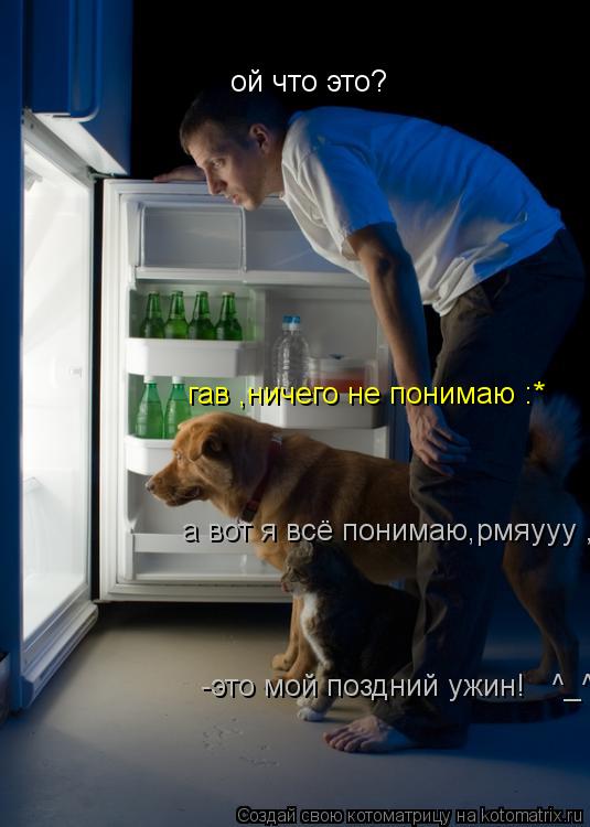 ой что это? гав ,ничего не понимаю :* а вот я всё понимаю,рмяууу , -это мой поздний ужин! ^_^... Котоматрица: ой что это? гав ,ничего не понимаю :* а вот я всё понимаю,рмяууу , -это мой поздний ужин! ^_^