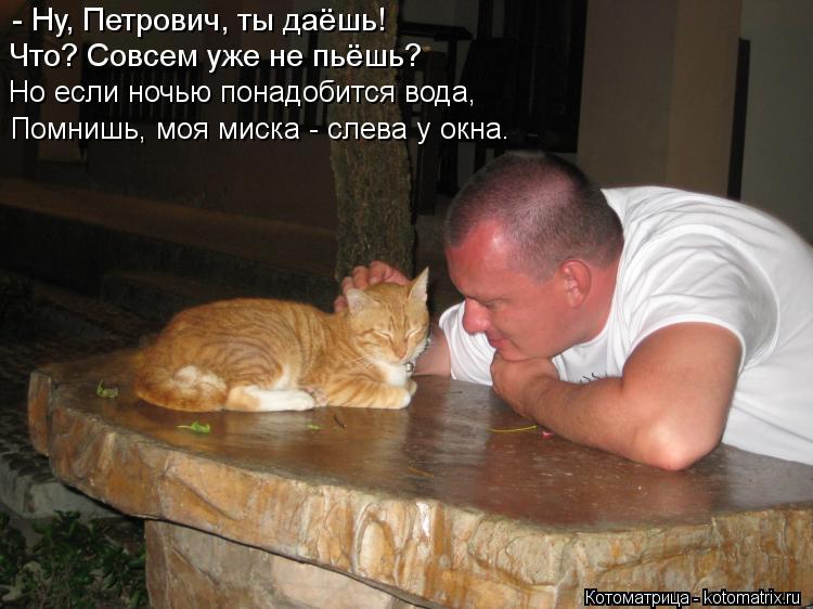 - Ну, Петрович, ты даёшь! Что? Совсем уже не пьёшь? Но если ночью понадобится вода, Помнишь, моя миск... Котоматрица: - Ну, Петрович, ты даёшь! Что? Совсем уже не пьёшь? Но если ночью понадобится вода, Помнишь, моя миска - слева у окна.