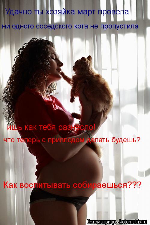Удачно ты хозяйка март провела ни одного соседского кота не пропустила ишь как тебя разнесло! что теп... Котоматрица: Удачно ты хозяйка март провела ни одного соседского кота не пропустила ишь как тебя разнесло! что теперь с приплодом делать будешь? Как вос