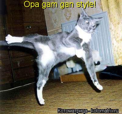 Котоматрица: Opa gam gan style!