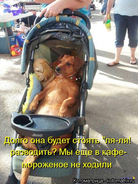 Долго она будет стоять "ля-ля! разводить? Мы еще в кафе- мороженое не ходили... Котоматрица: Долго она будет стоять "ля-ля! разводить? Мы еще в кафе- мороженое не ходили