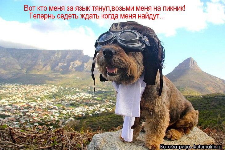 Вот кто меня за язык тянул,возьми меня на пикник! Тепернь седеть ждать когда меня найдут... Теперн... Котоматрица: Вот кто меня за язык тянул,возьми меня на пикник! Тепернь седеть ждать когда меня найдут... Тепернь седеть ждать когда меня найдут... А дела