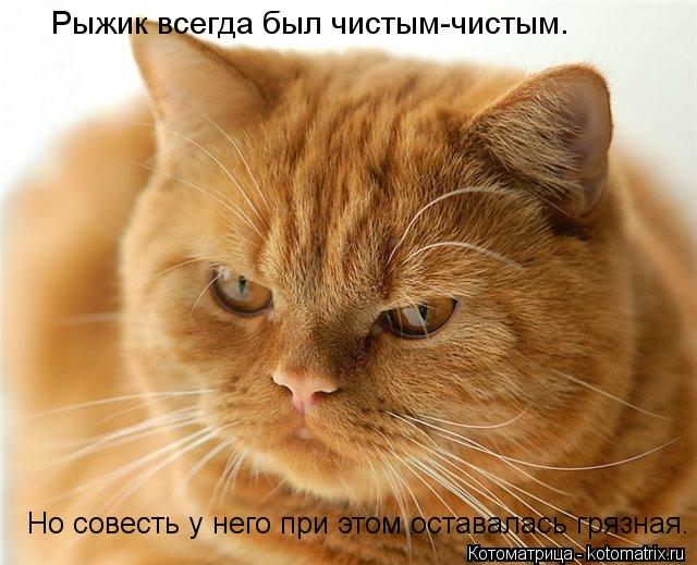 Рыжик всегда был чистым-чистым. Но совесть у него при этом оставалась грязная.... Котоматрица: Рыжик всегда был чистым-чистым. Но совесть у него при этом оставалась грязная.