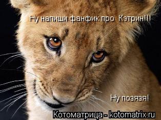 Ну напиши фанфик про Кэтрин!!! Ну позязя!... Котоматрица: Ну напиши фанфик про Кэтрин!!! Ну позязя!