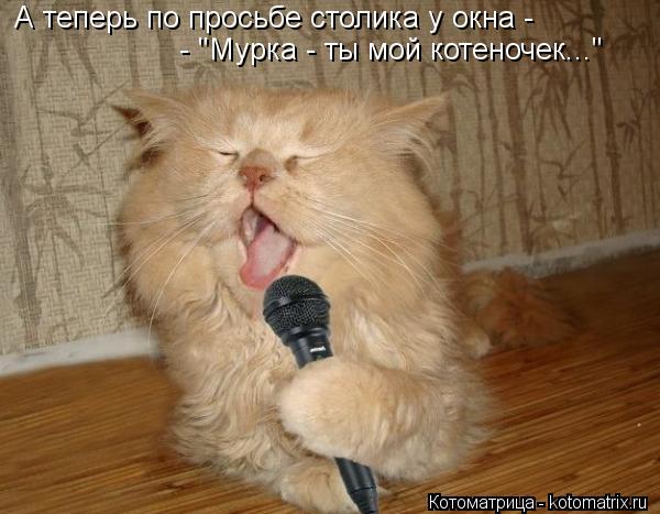 А теперь по просьбе столика у окна - - "Мурка - ты мой котеночек..."... Котоматрица: А теперь по просьбе столика у окна - - "Мурка - ты мой котеночек..."