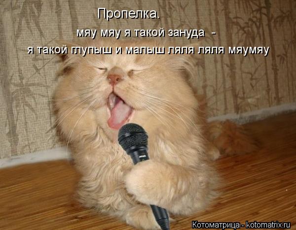 Пропелка. мяу мяу я такой зануда - я такой глупыш и малыш ляля ляля мяумяу... Котоматрица: Пропелка. мяу мяу я такой зануда - я такой глупыш и малыш ляля ляля мяумяу