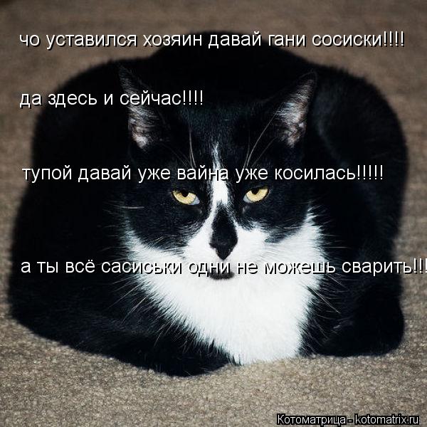 чо уставился хозяин давай гани сосиски!!!! чо уставился хозяин давай гани сосиски!!!! да здесь и сейч... Котоматрица: чо уставился хозяин давай гани сосиски!!!! чо уставился хозяин давай гани сосиски!!!! да здесь и сейчас!!!! тупой давай уже вайна уже косилась!!!!
