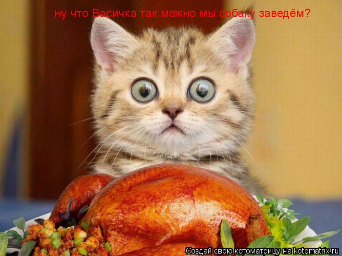 ну что Васичка так можно мы собаку заведём?... Котоматрица: ну что Васичка так можно мы собаку заведём?