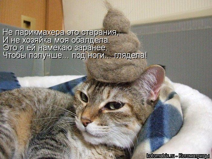Не парикмахера это старания, И не хозяйка моя обалдела. Это я ей намекаю заранее, Чтобы получше... по... Котоматрица: Не парикмахера это старания, И не хозяйка моя обалдела. Это я ей намекаю заранее, Чтобы получше... под ноги... глядела!