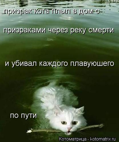 призрак кота плыл в дом с призраками через реку смерти и убивал каждого плавуюшего по пути... Котоматрица: призрак кота плыл в дом с призраками через реку смерти и убивал каждого плавуюшего по пути