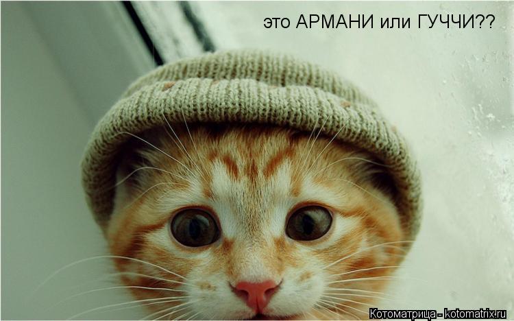 это АРМАНИ или ГУЧЧИ??... Котоматрица: это АРМАНИ или ГУЧЧИ??