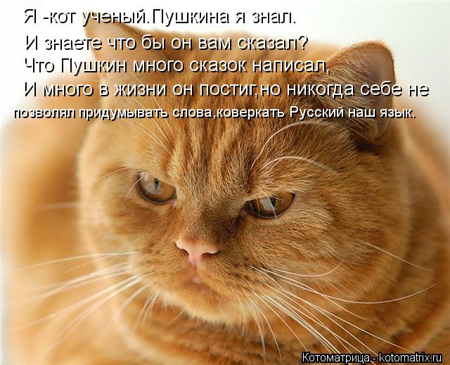 Я -кот ученый.Пушкина я знал. И знаете что бы он вам сказал? Что Пушкин много сказок написал, И много... Котоматрица: Я -кот ученый.Пушкина я знал. И знаете что бы он вам сказал? Что Пушкин много сказок написал, И много в жизни он постиг,но никогда себе не позв