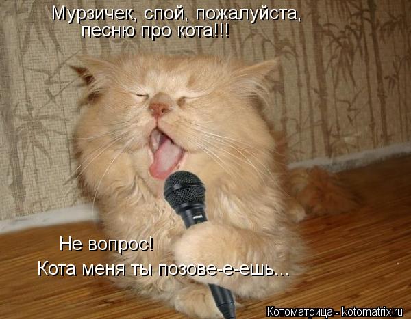 Мурзичек, спой, пожалуйста, песню про кота!!! Не вопрос! Кота меня ты позове-е-ешь...... Котоматрица: Мурзичек, спой, пожалуйста, песню про кота!!! Не вопрос! Кота меня ты позове-е-ешь...