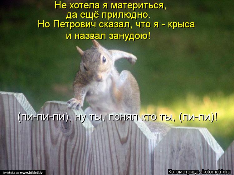 (пи-пи-пи), ну ты, понял кто ты, (пи-пи)! Не хотела я материться, да ещё прилюдно. Но Петрович сказал... Котоматрица: (пи-пи-пи), ну ты, понял кто ты, (пи-пи)! Не хотела я материться, да ещё прилюдно. Но Петрович сказал, что я - крыса и назвал занудою!