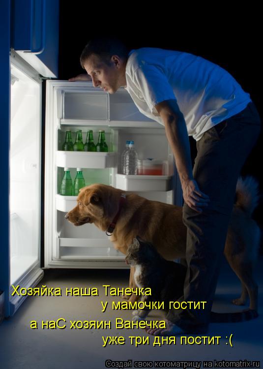Хозяйка наша Танечка у мамочки гостит а наС хозяин Ванечка уже три дня постит :(... Котоматрица: Хозяйка наша Танечка у мамочки гостит а наС хозяин Ванечка уже три дня постит :(