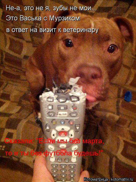 Не-а, это не я, зубы не мои... Это Васька с Мурзиком в ответ на визит к ветеринару Сказали: "Если мы ... Котоматрица: Не-а, это не я, зубы не мои... Это Васька с Мурзиком в ответ на визит к ветеринару Сказали: "Если мы без марта, то и ты без футбола будешь!"