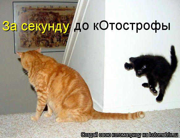 За секунду до кОтострофы... Котоматрица: За секунду до кОтострофы