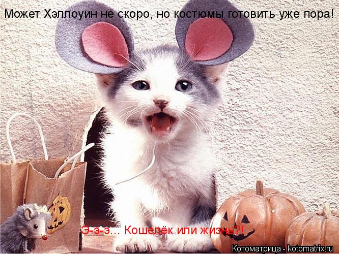 Котоматрица: Может Хэллоуин не скоро, но костюмы готовить уже пора! Э-э-э... Кошелёк или жизнь?!