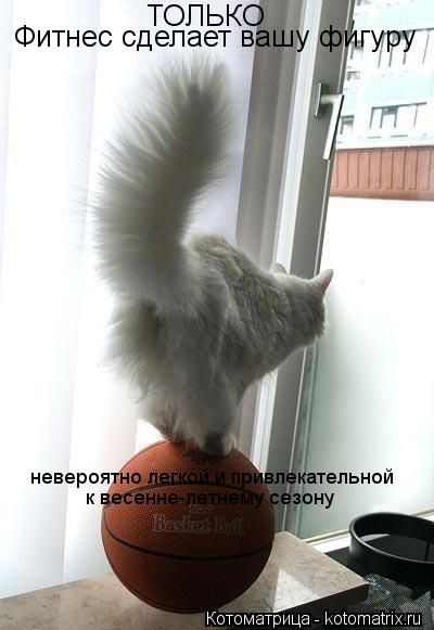 Котоматрица: Фитнес сделает вашу фигуру невероятно легкой и привлекательной к весенне-летнему сезону ТОЛЬКО